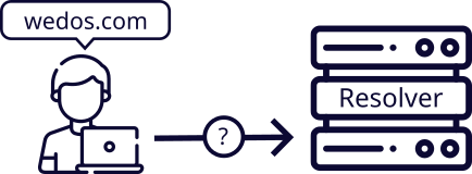 Client device queries recursive DNS resolver about wedos.com