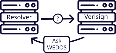 Resolver queries Verisign DNS about wedos.com, which is delegated to WEDOS