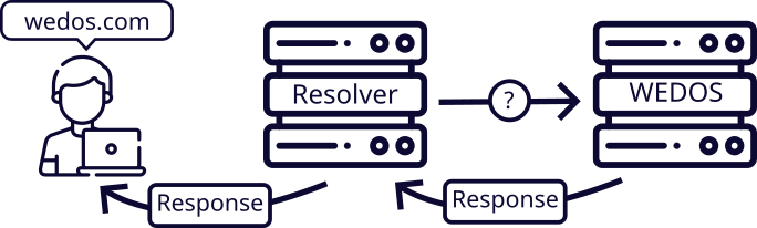 Resolver queries WEDOS about wedos.com, receives a response and passes it to the original device